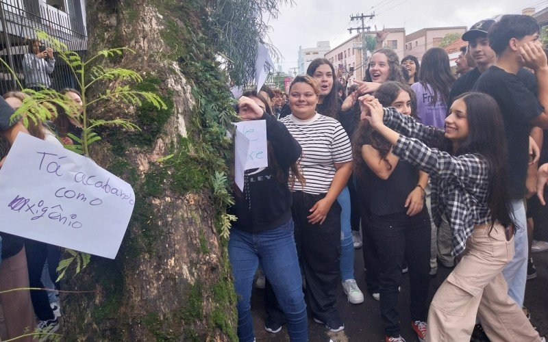 Estudantes e professores protestam contra corte de árvore em Novo Hamburgo | abc+