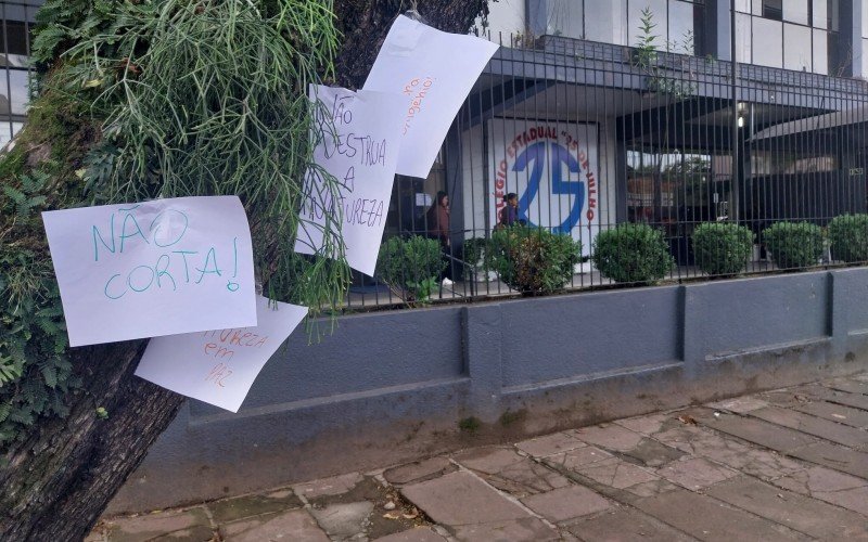 Estudantes e professores protestam contra corte de árvore em Novo Hamburgo | abc+