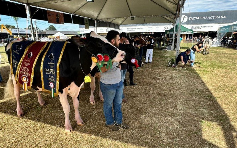 Desfile dos campões da Fenasul Expoleite 2025