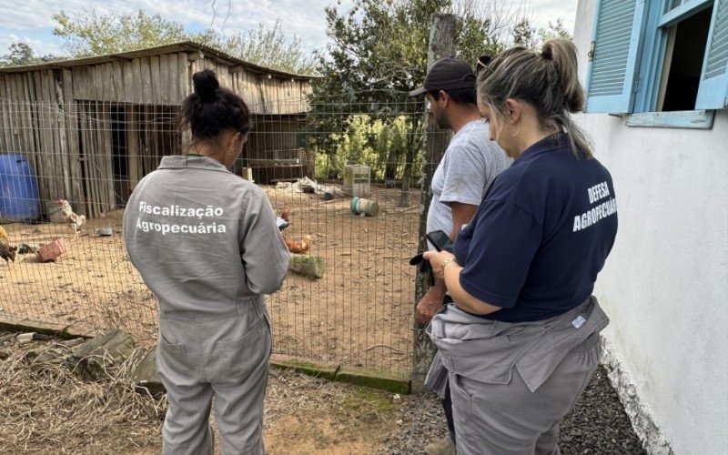 Medida foi tomada após os fiscais identificarem um pato e uma galinha com comportamento atípico  | abc+
