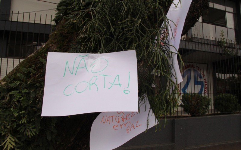Protesto contra corte de árvore mobilizou alunos do Colégio 25 de Julho | abc+
