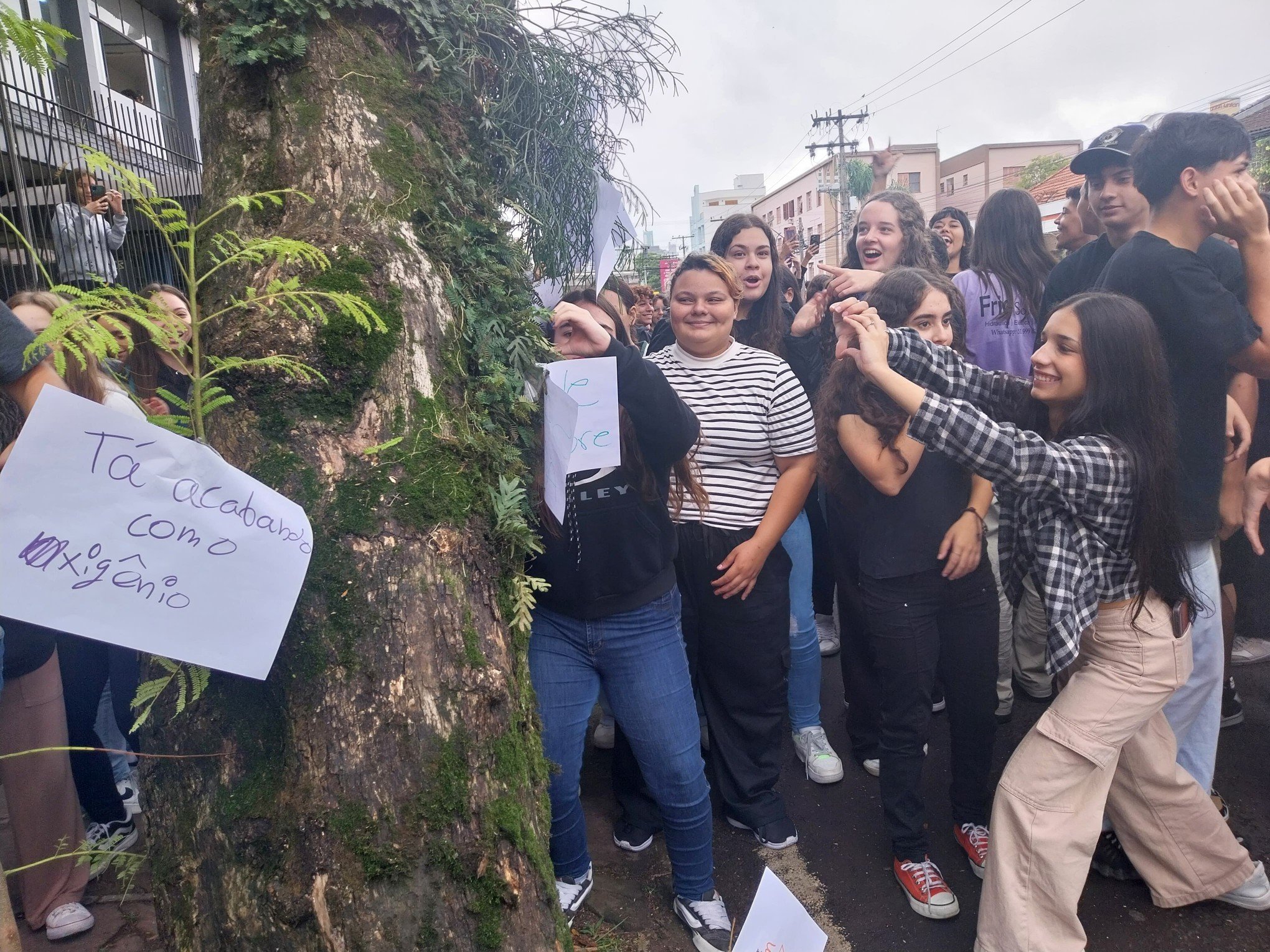 VÍDEO: Estudantes e professores protestam contra corte de árvore em Novo Hamburgo