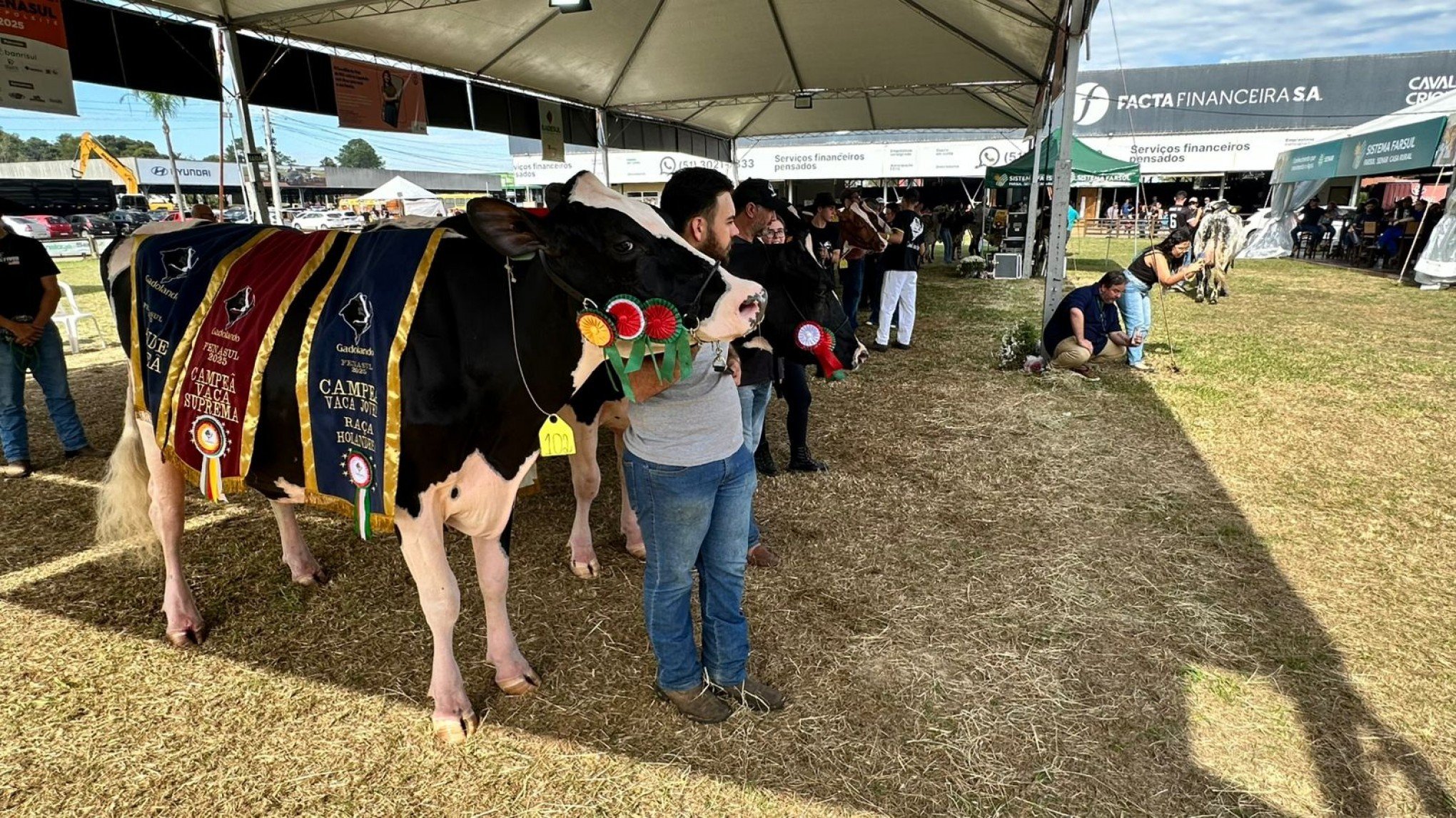 Festuris - San Ignacio, sua porta de entrada para a aventura em Belize!, image size:2040x1147