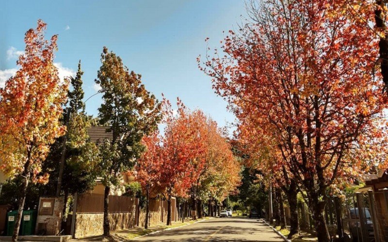 Rua Alfredo Schneider é um ponto obrigatório para tirar fotos em Gramado no outono | abc+
