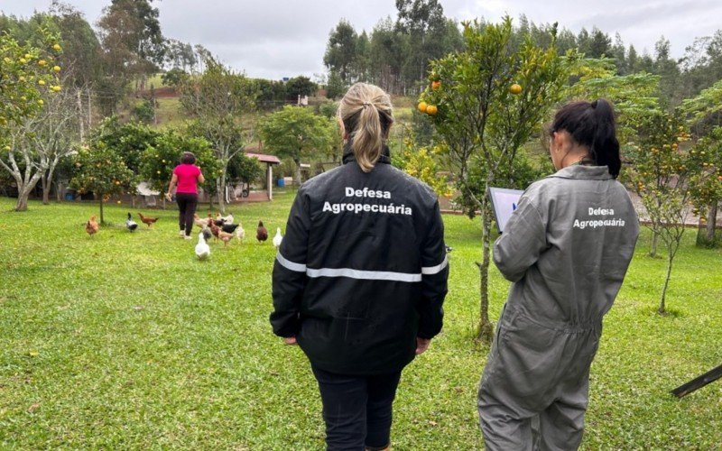 Secretaria está com 85 fiscais agropecuários, técnicos agrícolas e servidores de outros cargos na região | abc+
