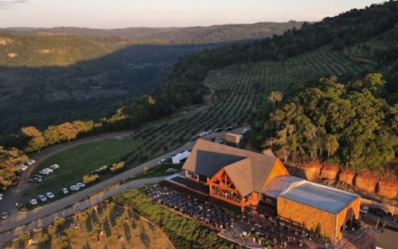 Olivas de Gramado | abc+