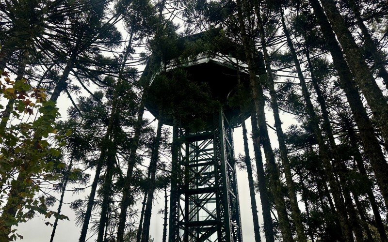 Da Torre da Araucária que os visitantes terão vista privilegiada para a Cascata do Caracol, no Parque do Caracol, em Canela