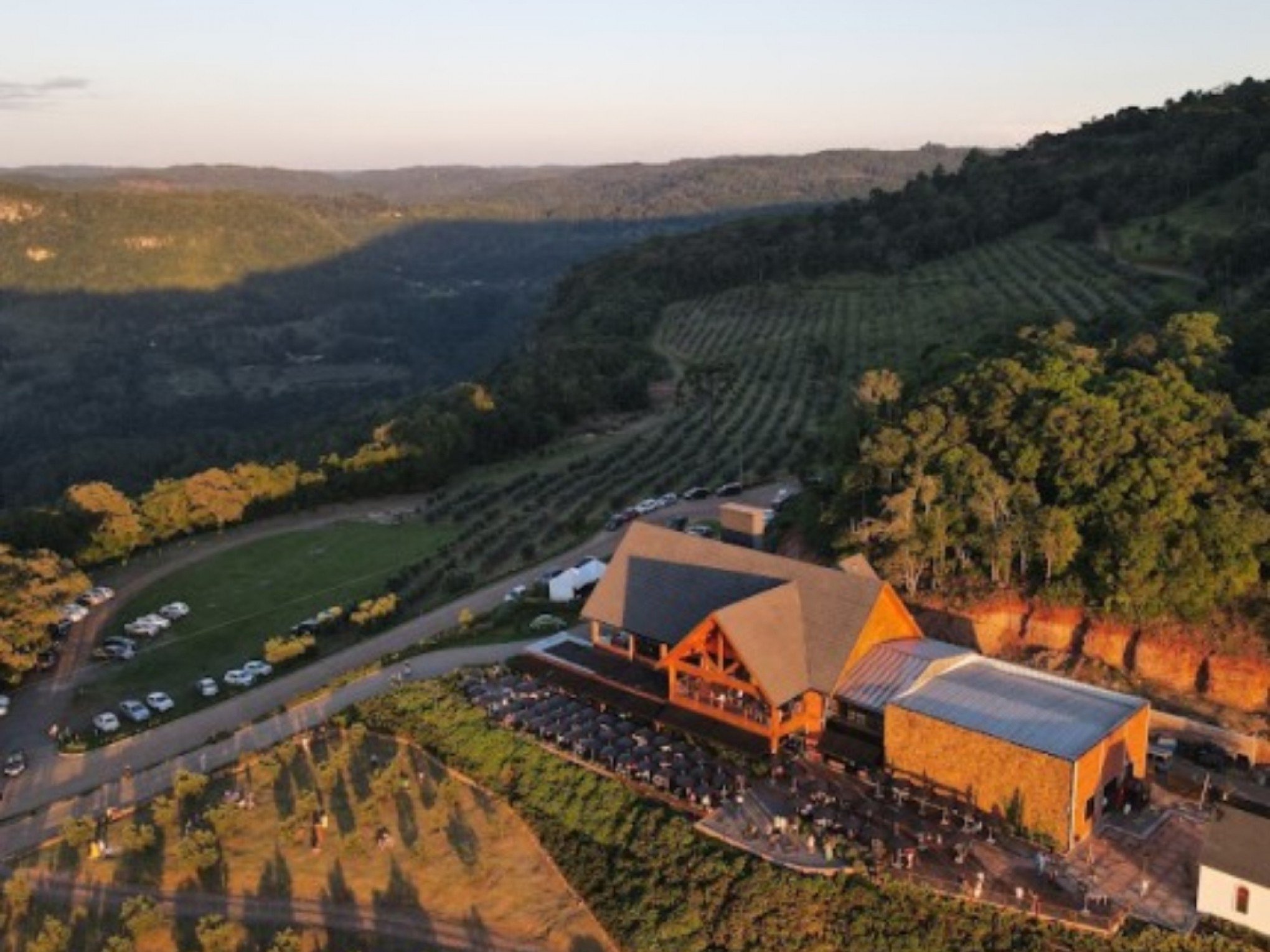 Olivas de Gramado | abc+