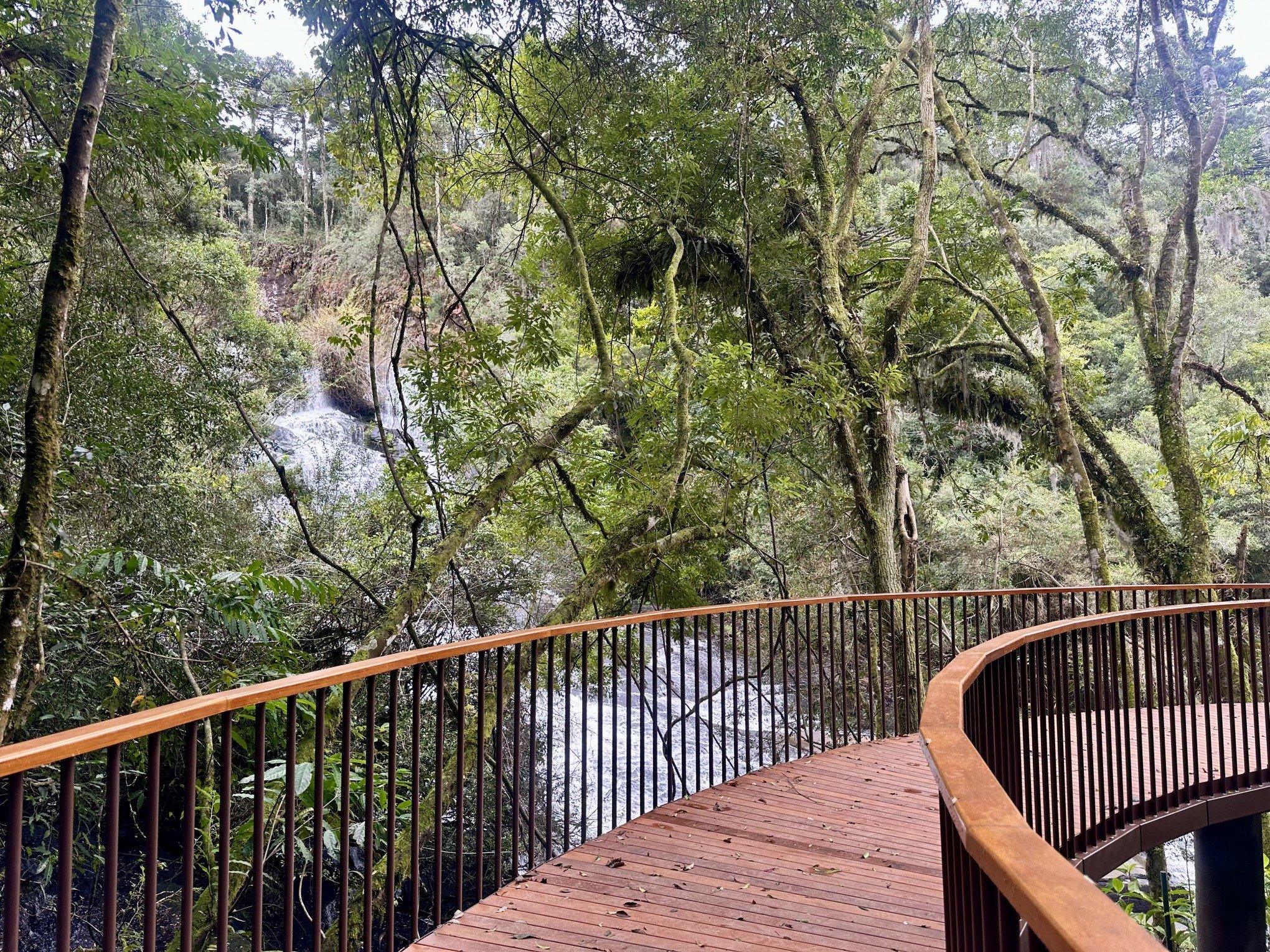 Parque do Caracol reabre ao público com estrutura revitalizada e novas experiências; veja imagens