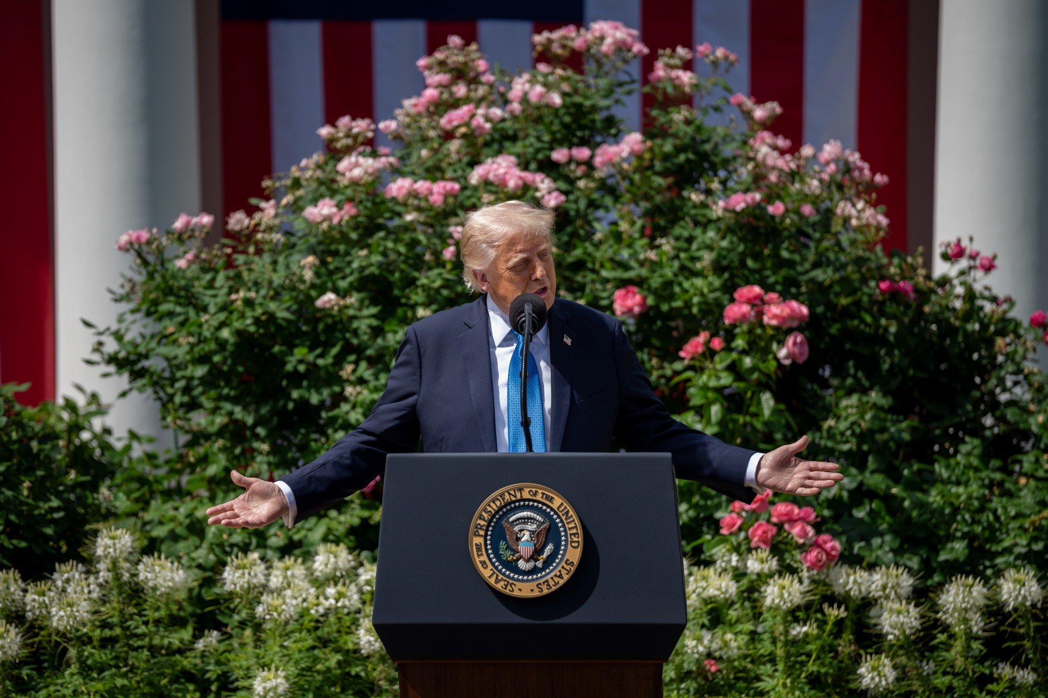 Juiz dos EUA proíbe governo Trump de revogar vistos de estudantes internacionais