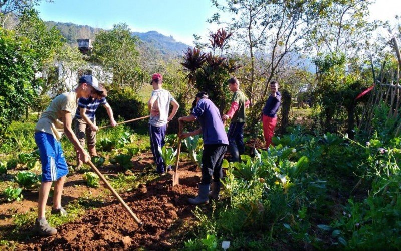 Cerca de 90% dos estudantes da Escola Família Agrícola de Vale do Sol permanecem no meio rural | abc+