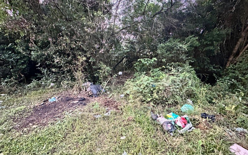 Área verde tomada pelo lixo em Novo Hamburgo deve virar loteamento com parque  | abc+
