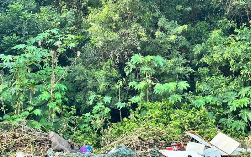 Área verde tomada pelo lixo em Novo Hamburgo deve virar loteamento com parque 