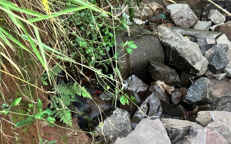 Nascente em área verde localizada no bairro Canudos. Local será preservado 