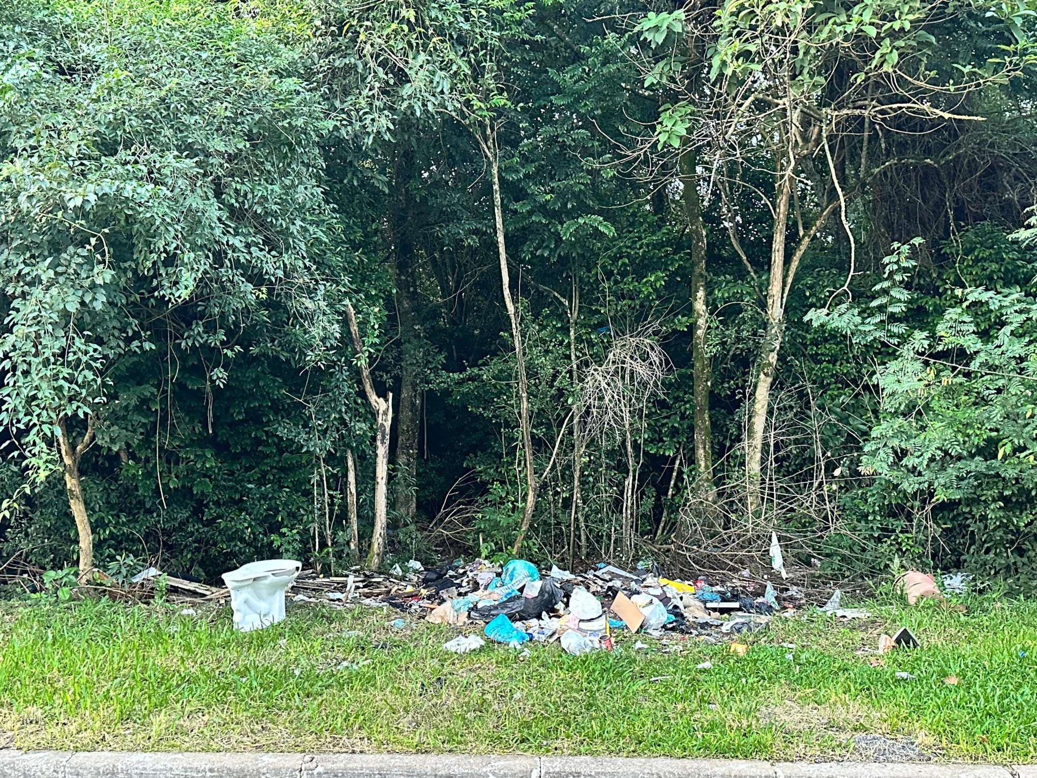 Projeto de lei causa polêmica entre moradores de Novo Hamburgo quer transformar área verde em loteamento