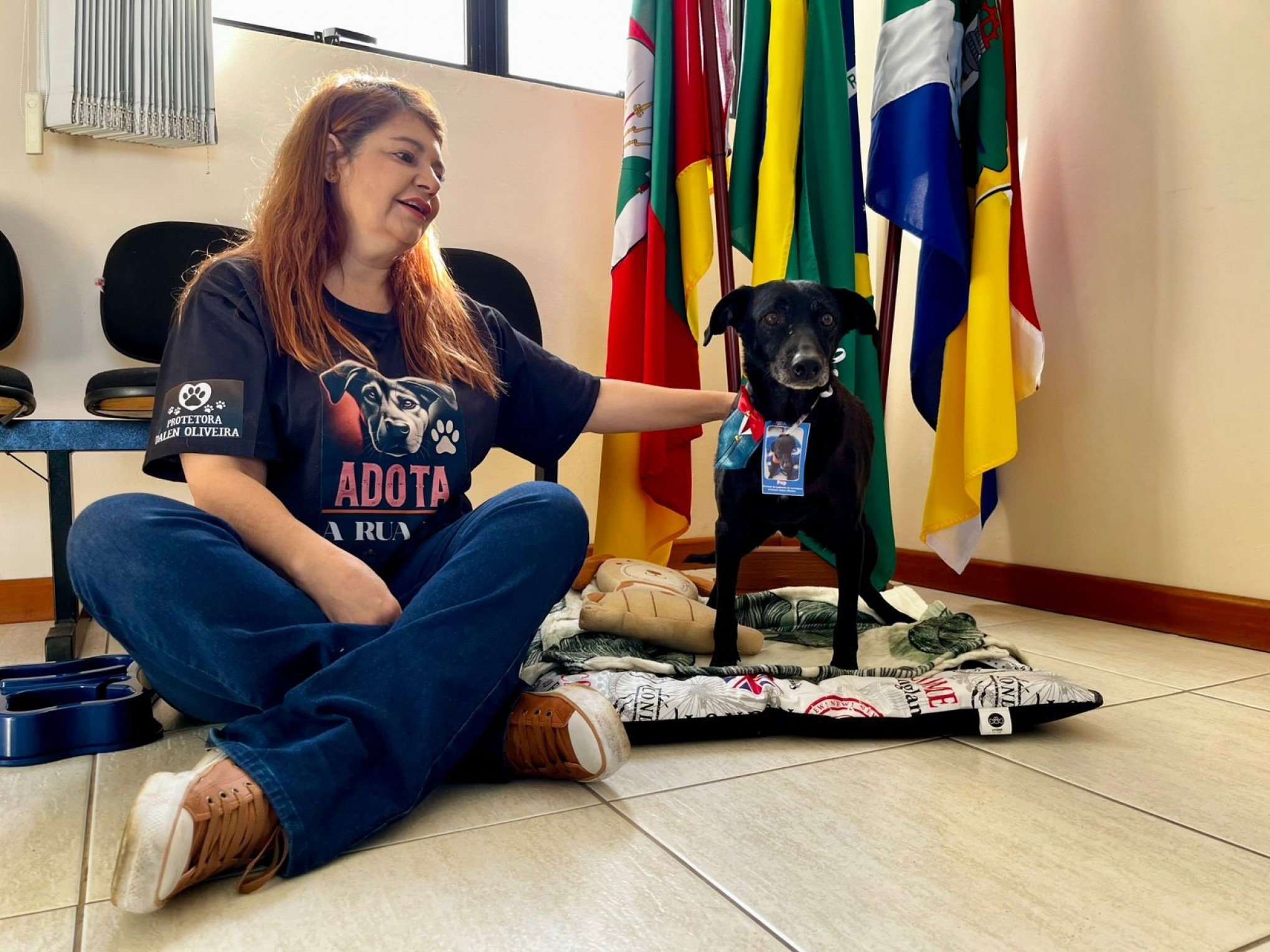 Cão "aussessor" da Câmara de Vereadores busca incentivar adoções em Esteio