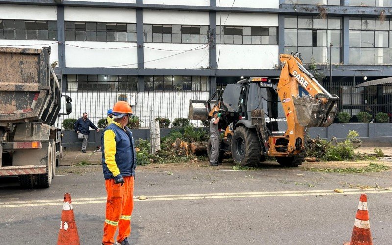 A última das quatro árvores localizadas em frente ao Colégio Estadual 25 de Julho foi cortada na manhã deste sábado | abc+
