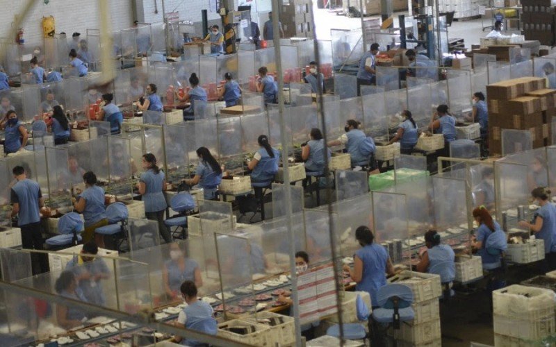 Empregos na indústria calçadista crescem 14% em 2022 e RS é o estado que mais contrata no setor | abc+