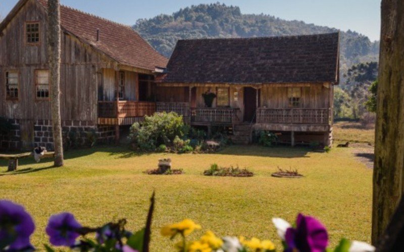 Linha Bonita em Gramado | abc+