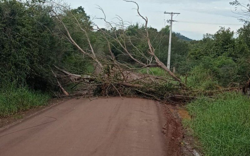 Taquara registrou quedas de árvores nesta terça-feira (26) | abc+
