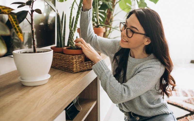 Plantas também sofrem com as temperaturas extremas, inclusive nos dias frios | abc+