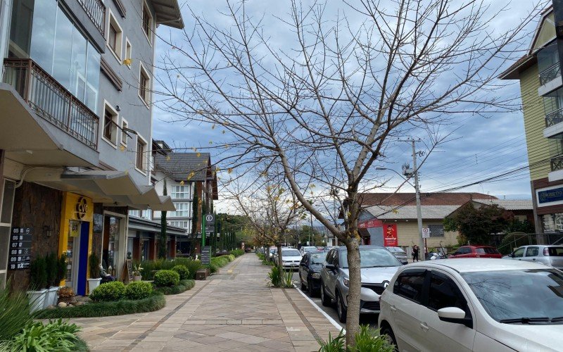 Chuva chega em Gramado e temperaturas devem despencar; turistas aguardam a neve