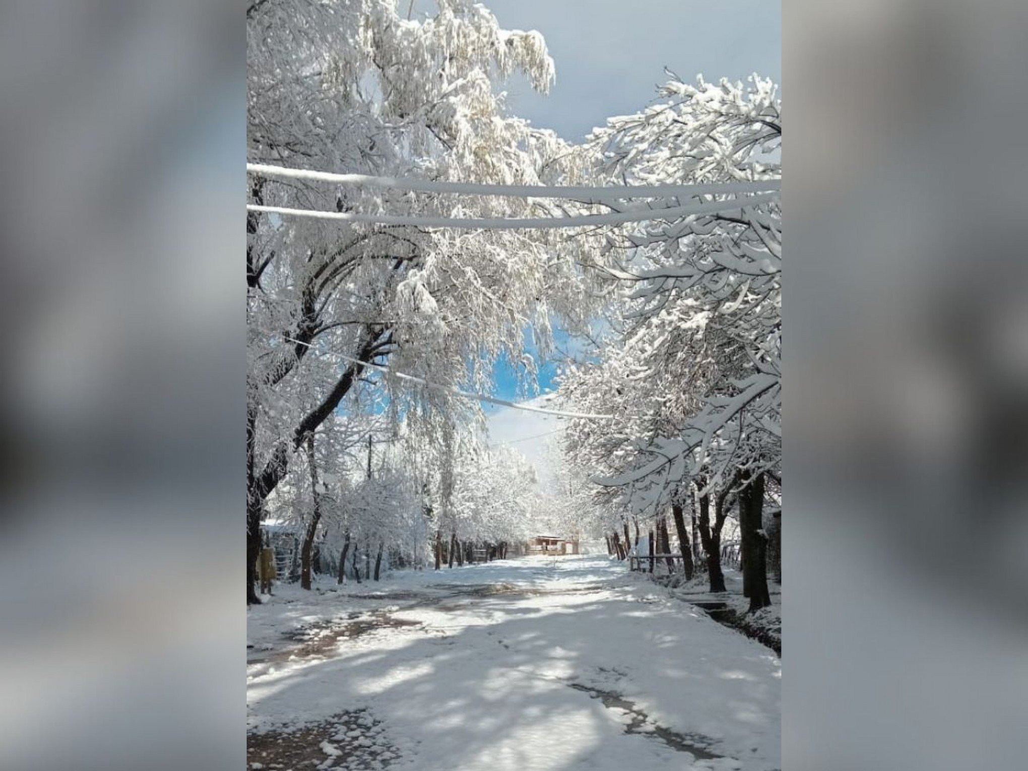 NEVE: Bolsão de ar gelado causa nevasca na Argentina e avança para o RS; Metsul fala em "início precoce do inverno"