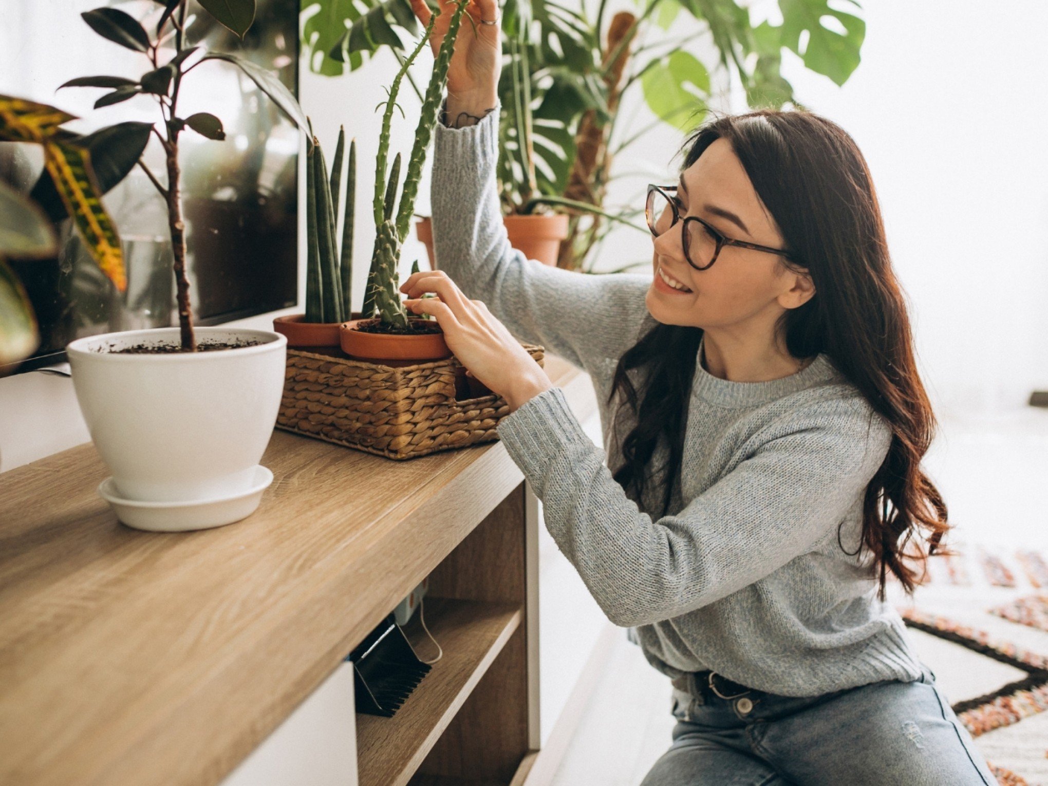 Frio extremo pode prejudicar o seu jardim: 5 dicas para proteger as suas plantas do pior