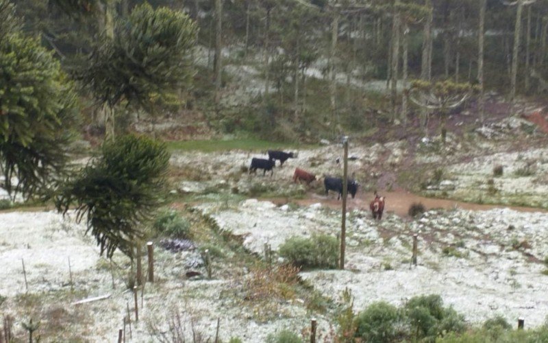 Neve se acumula em São José dos Ausentes, nos Campos de Cima da Serra | abc+