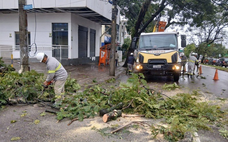 Queda de galho interrompe o trânsito na Avenida Boqueirão, na altura do bairro Igara, na manhã desta quinta-feira (29)