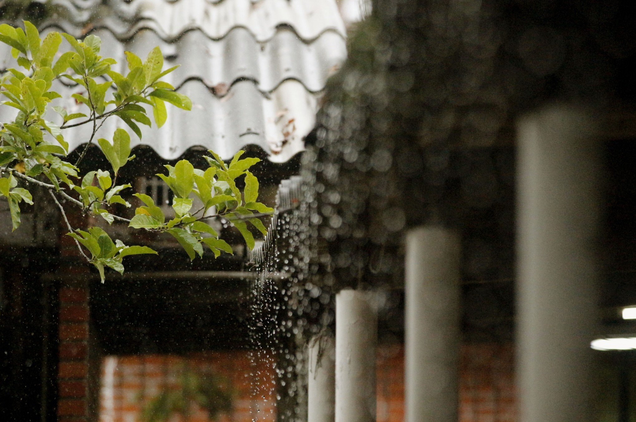 PREVISÃO DO TEMPO: Chuva retorna ao RS após sequência de dias congelantes; veja a partir de quando e o que esperar