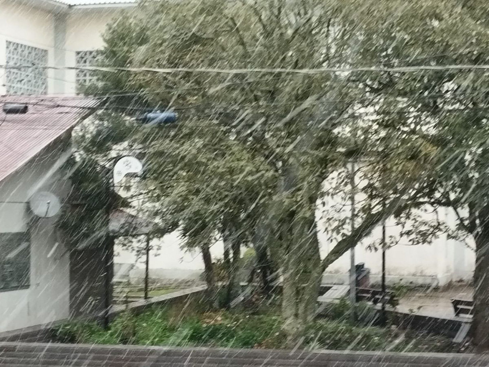 VÍDEO: Neve cai pela primeira vez em 2025 no Rio Grande do Sul