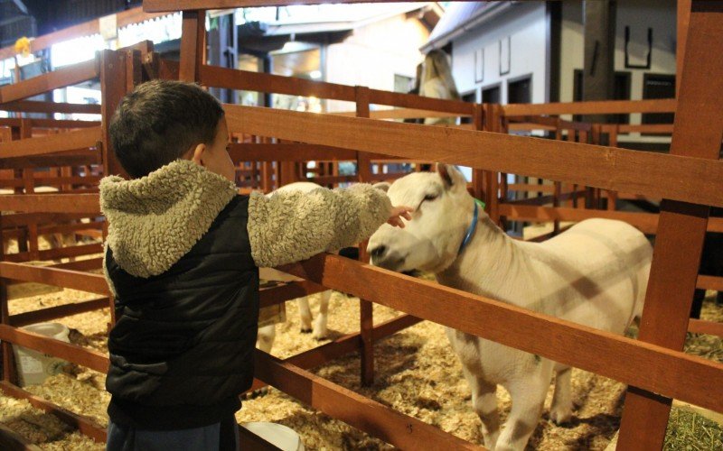 Isaque Libano tem dois aninhos e amou conhecer os animais da exposição | abc+