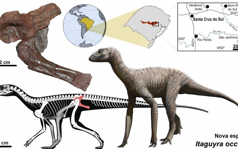 Fóssil descoberto em Santa Cruz do Sul preenche lacuna  no conhecimento de 10 milhões de anos no registro de dinossauros | abc+