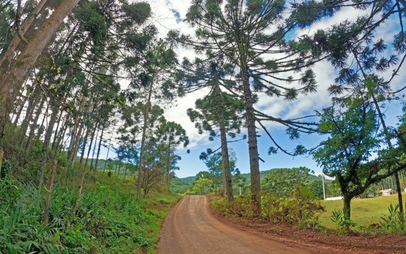 Rota Romântica ganha circuito de caminhadas em nove etapas pelo ...