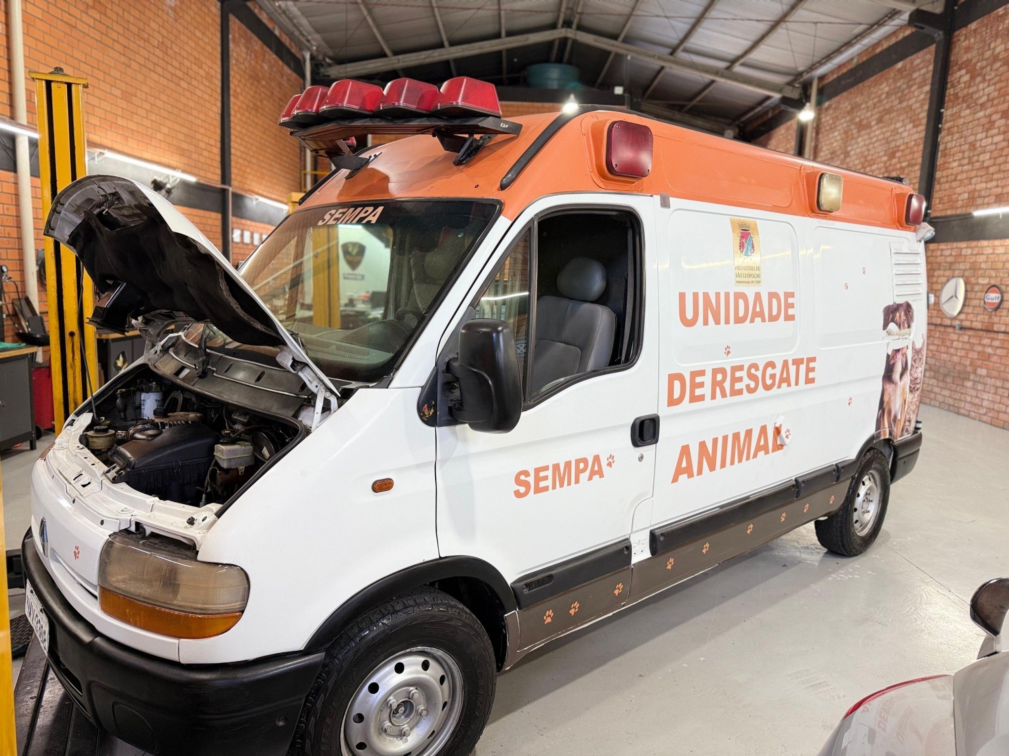 Após ficar submersa na enchente, viatura de resgate animal volta às ruas de São Leopoldo