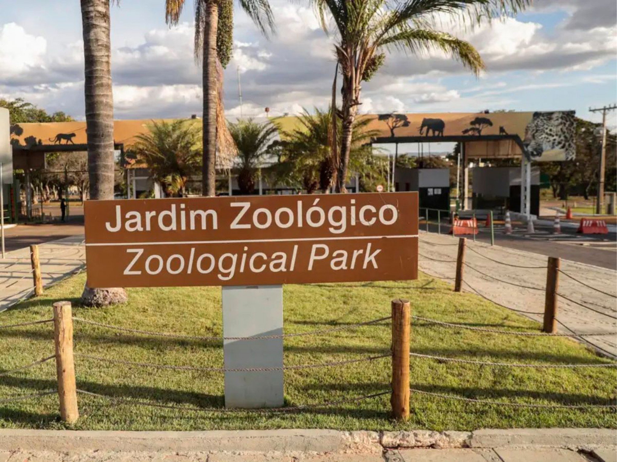 GRIPE AVIÁRIA: Governo do Distrito Federal confirma caso no Zoológico de Brasília