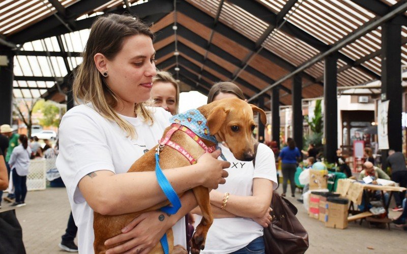 Prefeitura de Nova Petrópolis realiza Feira de Adoção Animal no dia 7 de junho