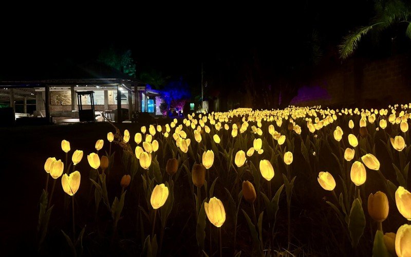 Lumni é o novo parque de luzes temático de Gramado, que abre exclusivamente à noite