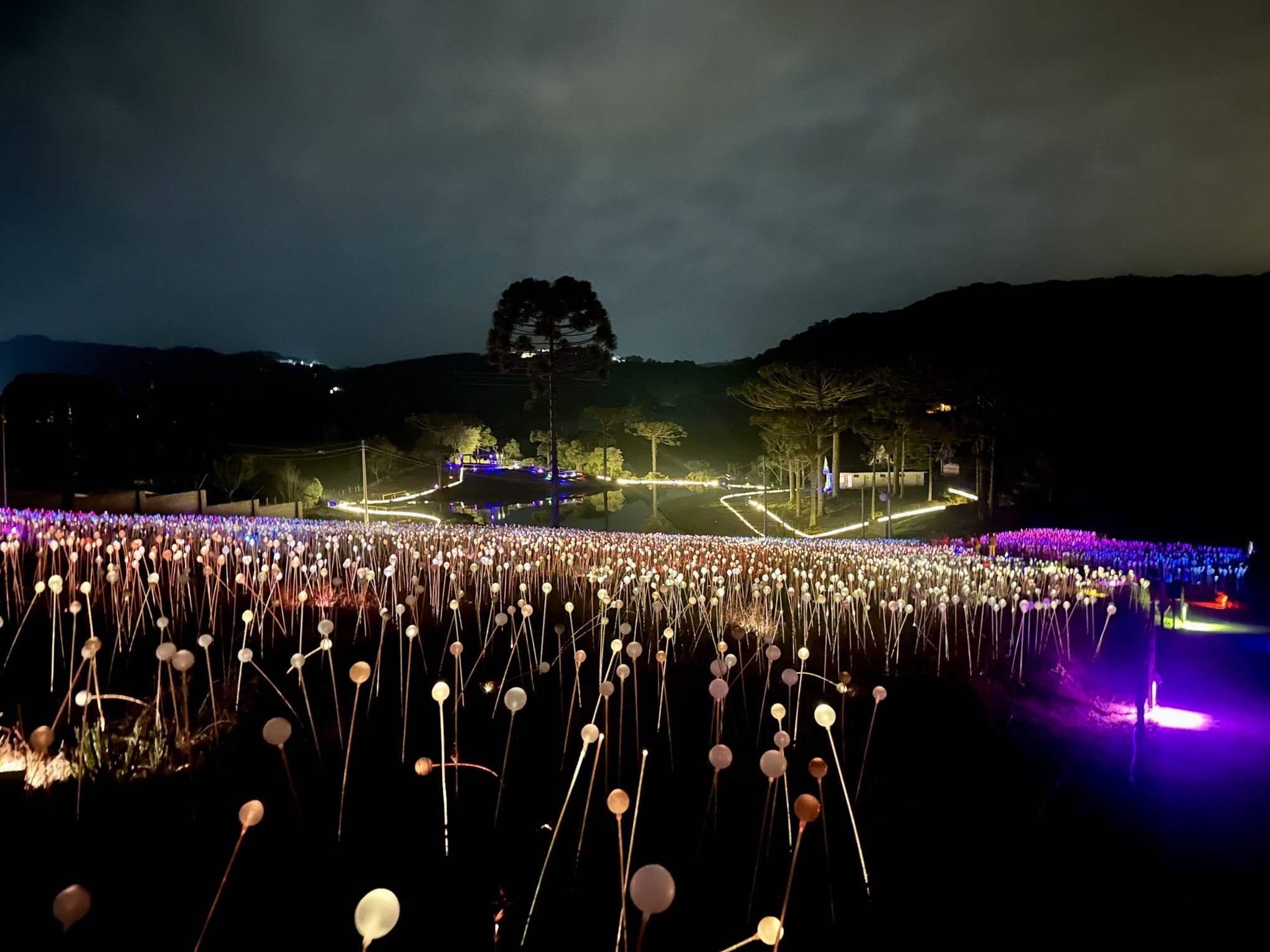 Parque temático com jardins formados por 50 mil luzes inaugura neste final de semana em Gramado