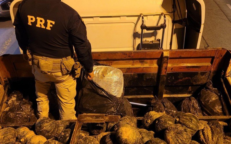 VÍDEO: Carga de abóboras que escondia grande quantidade de drogas é apreendida pela PRF