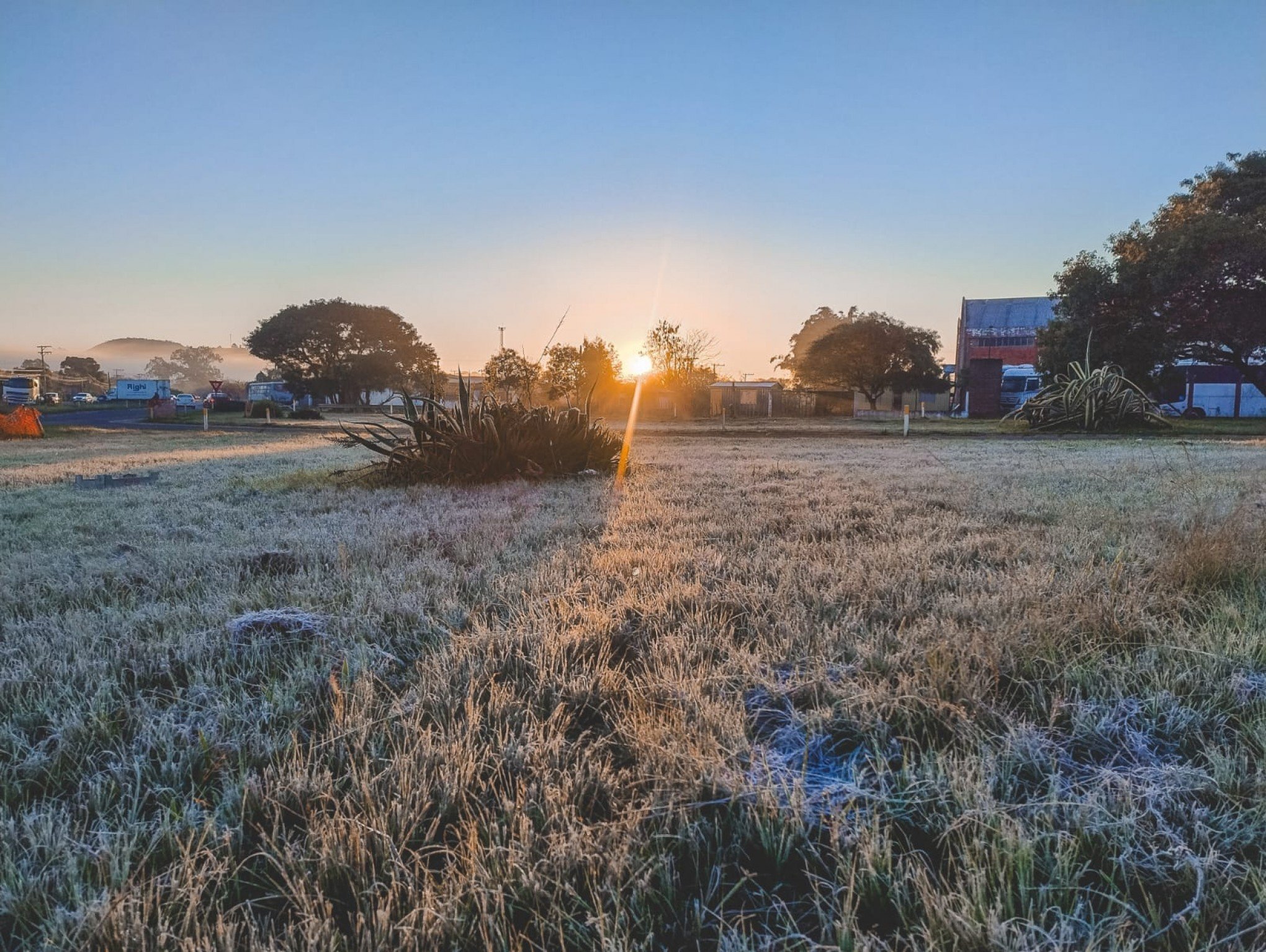 FRIO POLAR: Geada e temperaturas negativas marcam o amanhecer no Sul do Brasil; veja vídeos