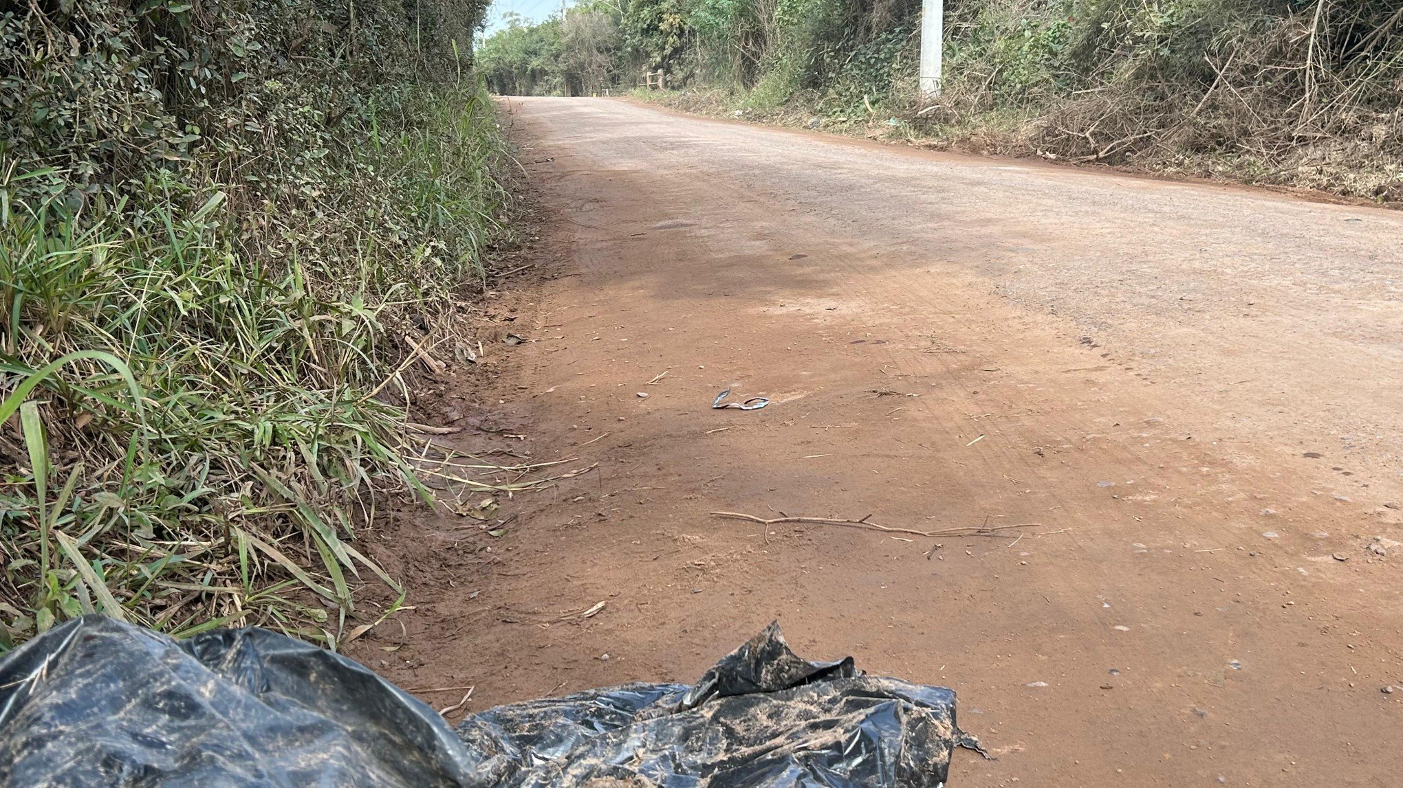Polícia suspeita que homem encontrado em estrada de Novo Hamburgo tenha sido morto a pauladas