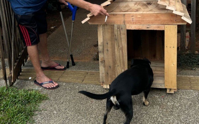 Casinhas são destinadas para cães em situação de rua e para famílias de baixa renda que perderam a casinha dos pets na enchente