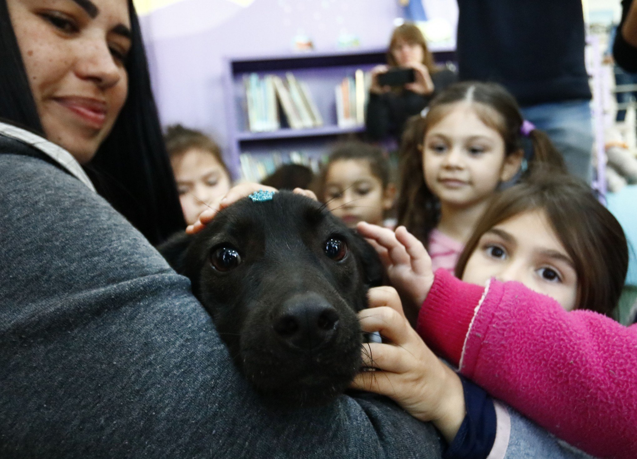 "Animal não é brinquedo": contação de história fala sobre adoção responsável com crianças em Canoas
