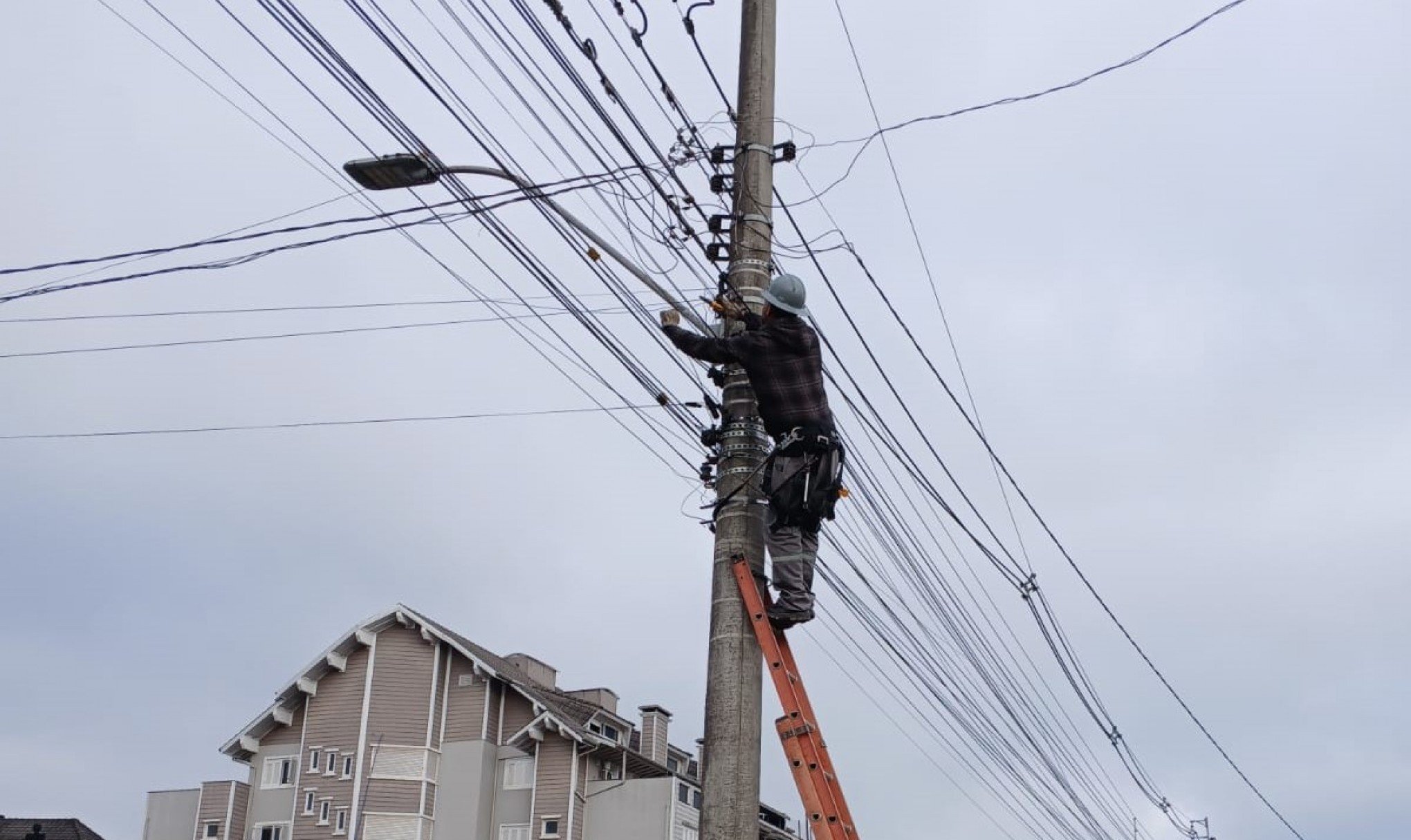 CANELA: 6ª etapa da Operação Poste Limpo é adiada; saiba mais