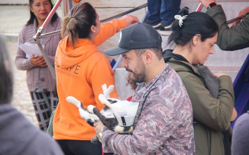 Ação atendeu a mais de 250 animais