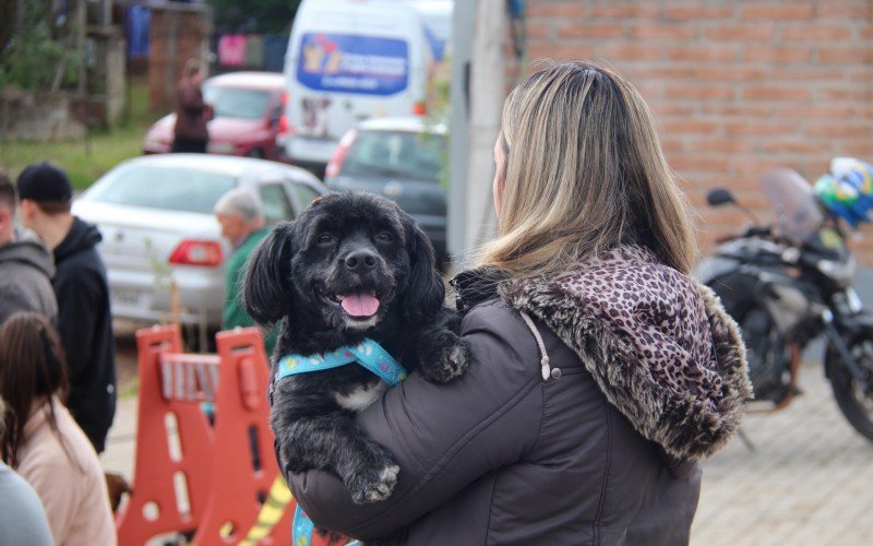 Ação atendeu a mais de 250 animais | abc+