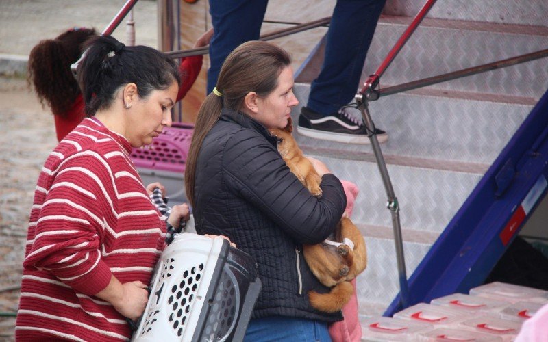 Ação atendeu a mais de 250 animais