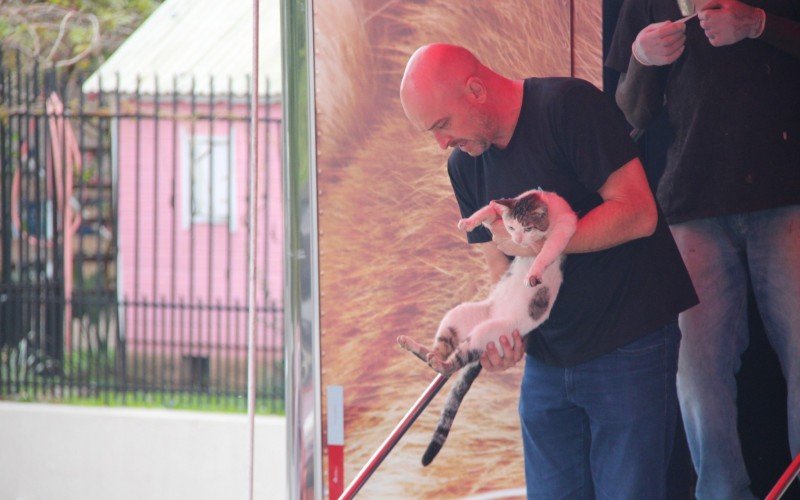 Ação atendeu a mais de 250 animais
